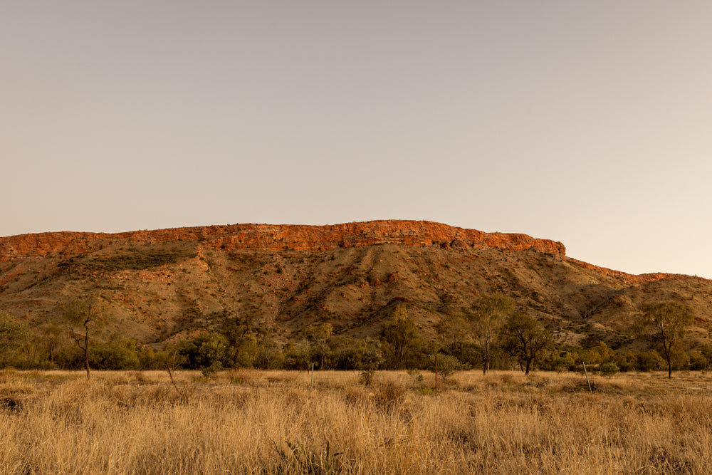 The Watching Ridge - Alice Springs