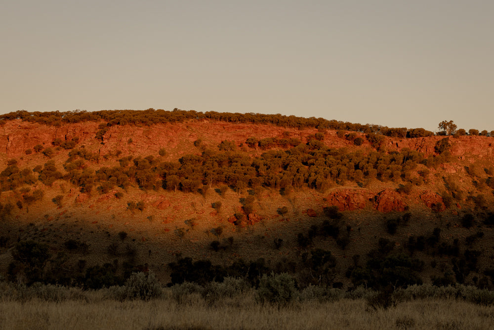 Shadowline - Alice Springs