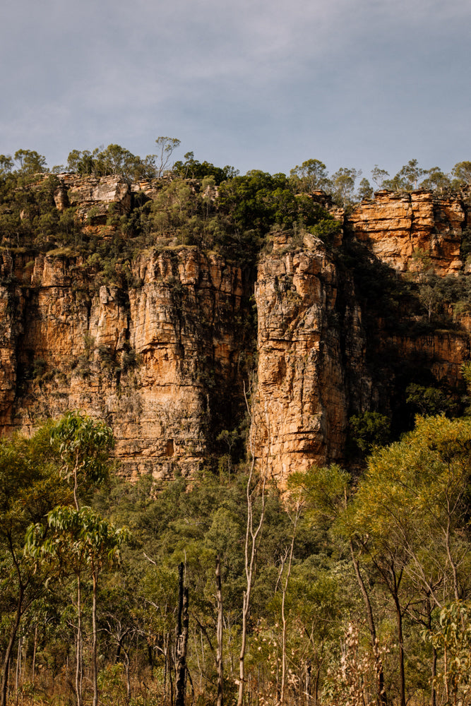Afternoon Light at Kakadu - Kakadu