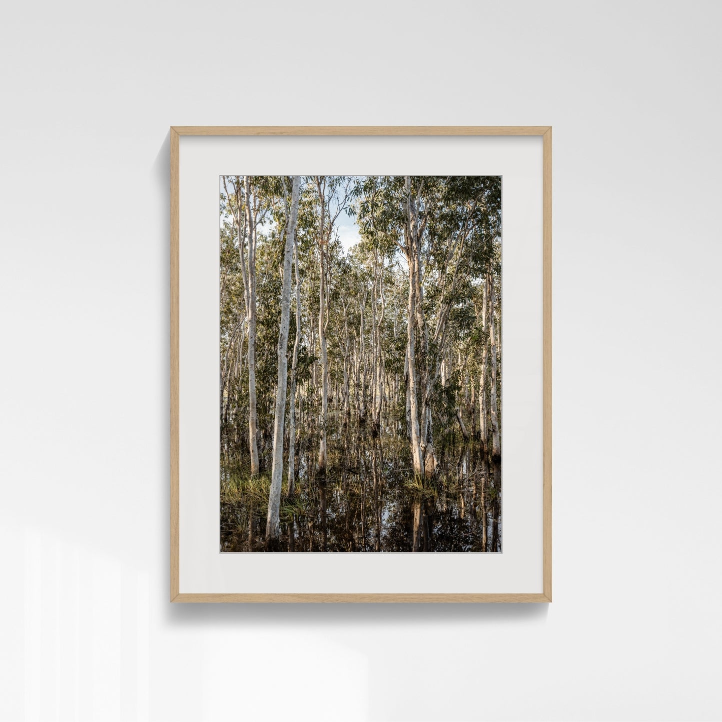 Density in Reflection - Howard Springs