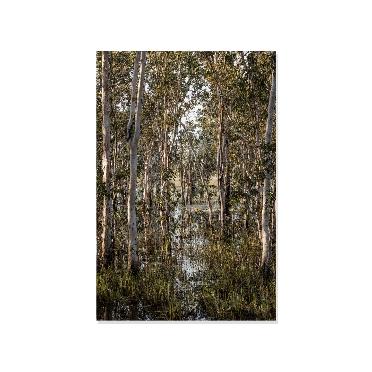 Retreating Structure - Howard Springs