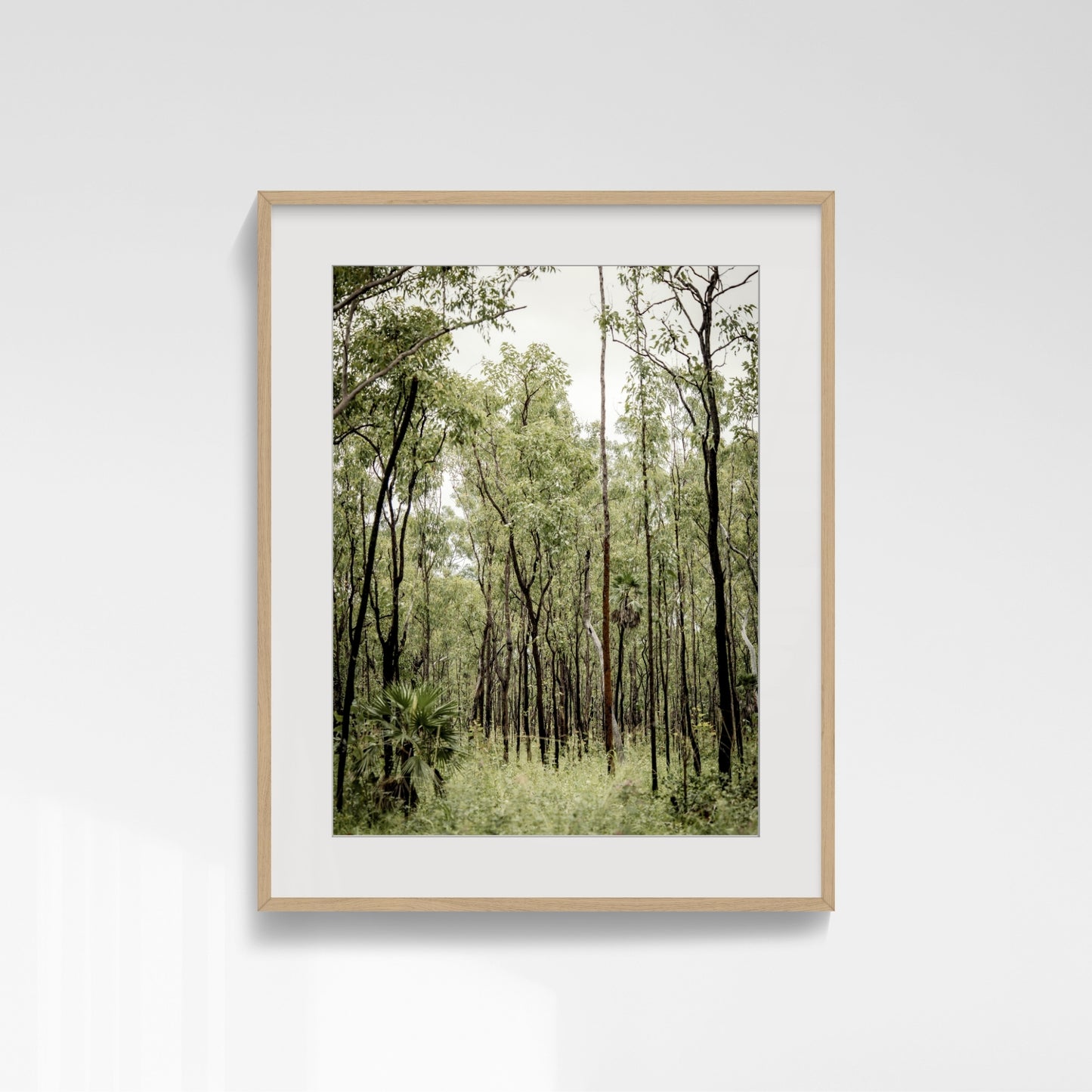 Path Through Green Silence - Kakadu