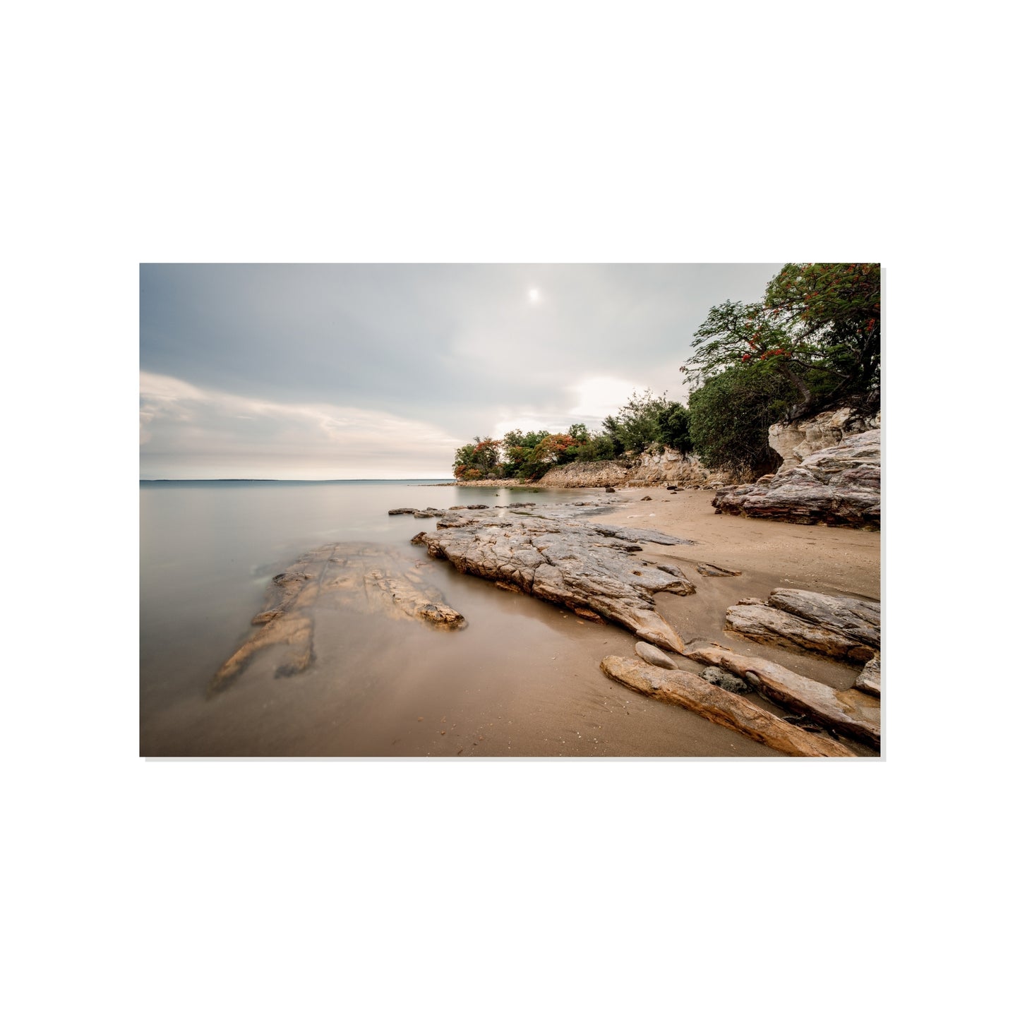 Wet Season Peace - East Point Reserve