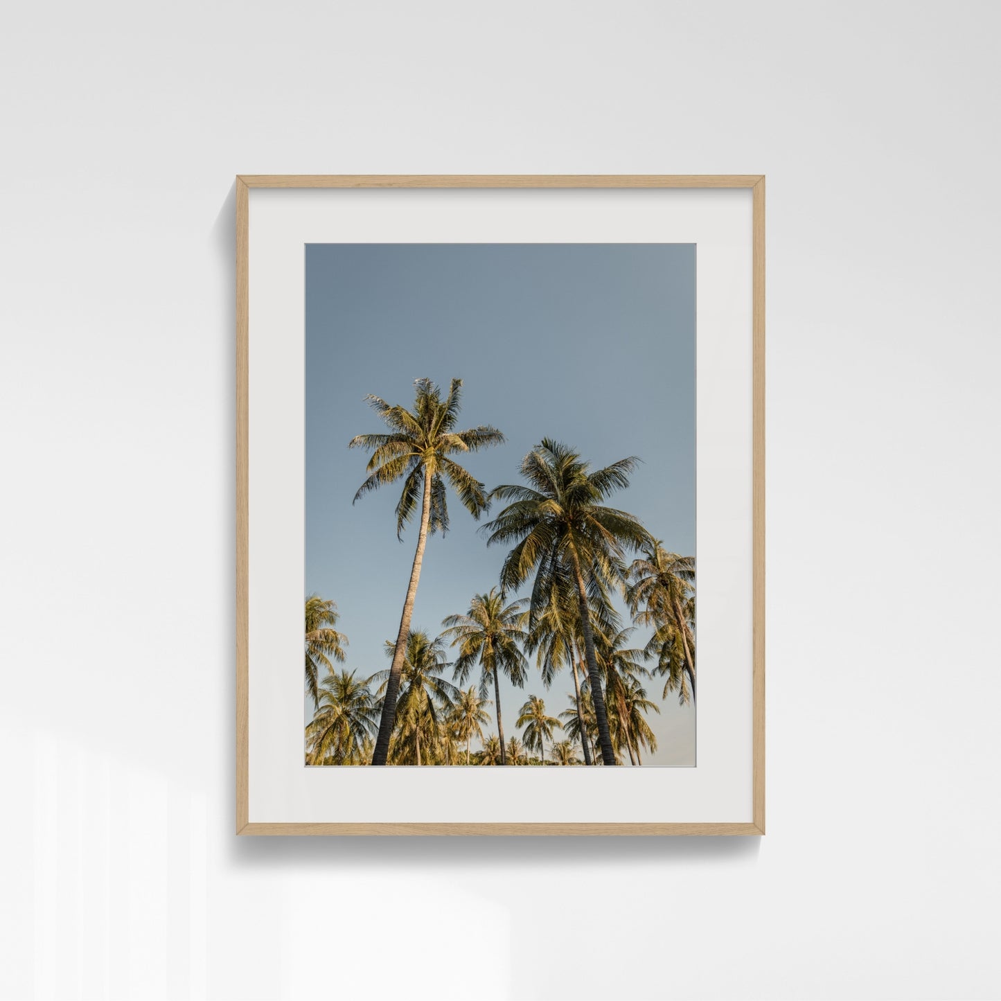 Tropic Array - Darwin