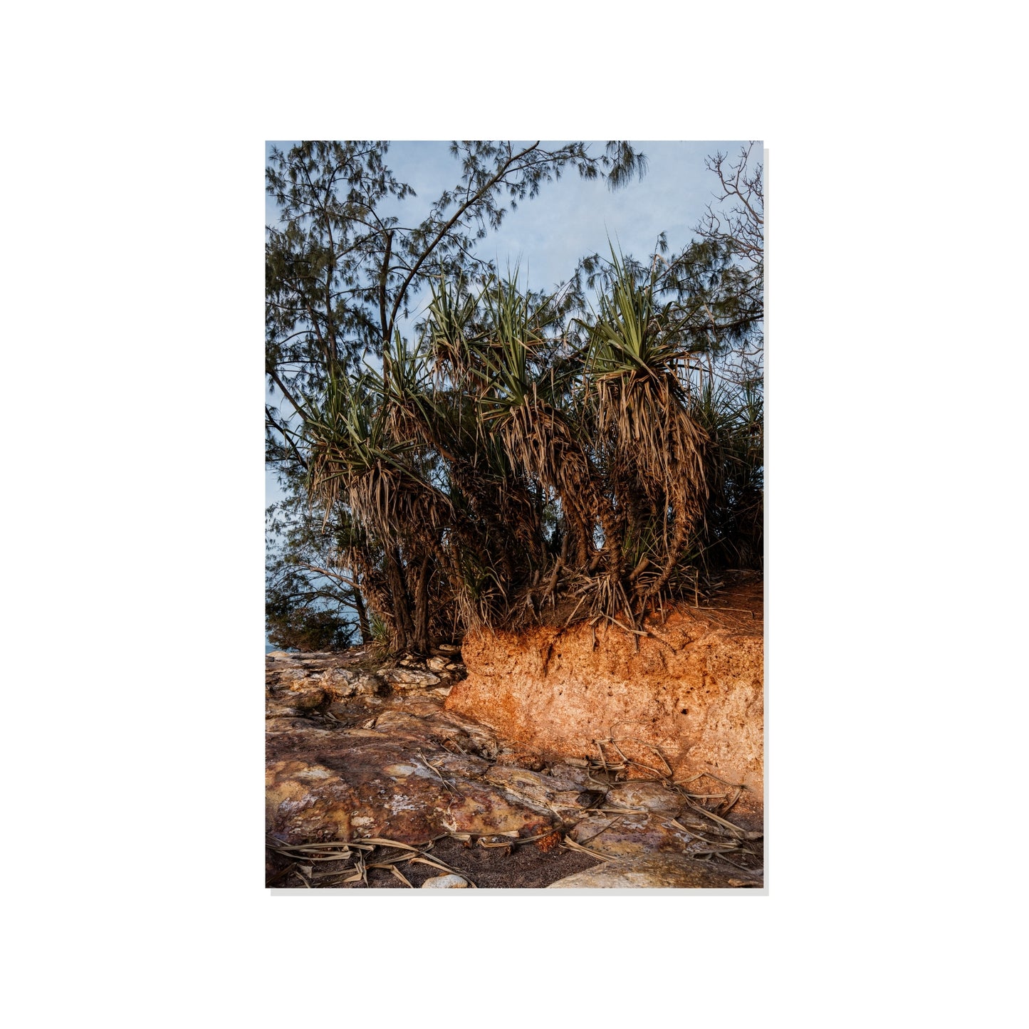 Edge of the Tropics - Nightcliff Beach