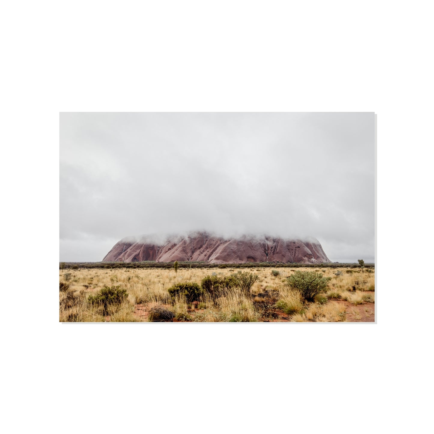 Shrouded Giant - Uluru