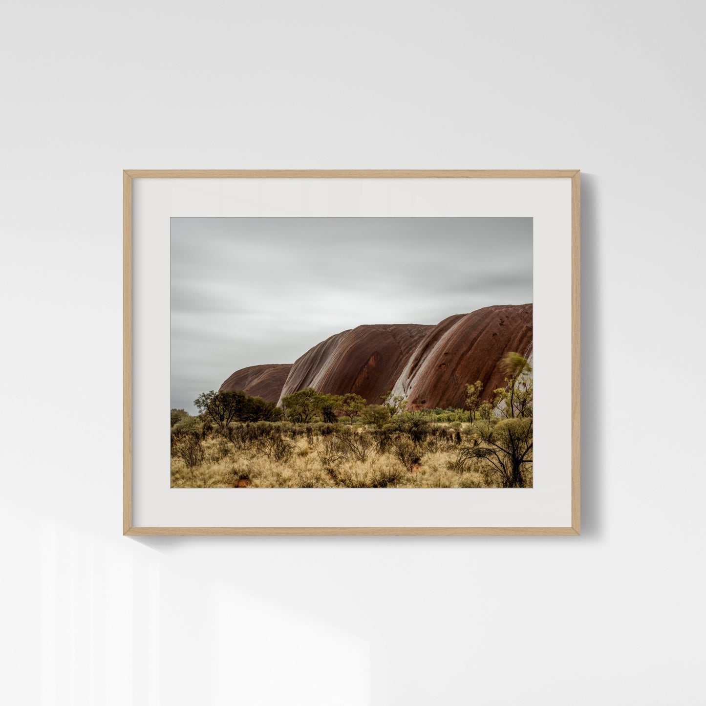 Rain Veins - Uluru