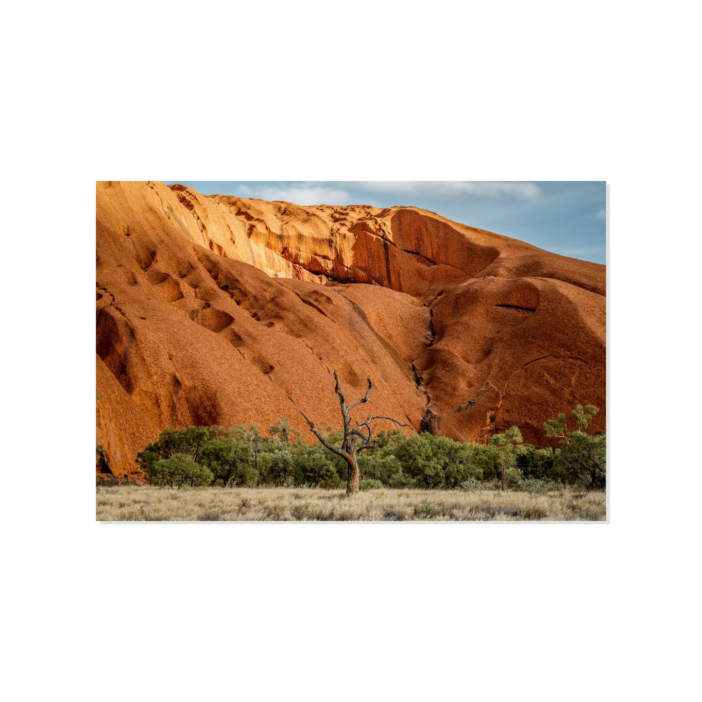 Veins of Light - Uluru