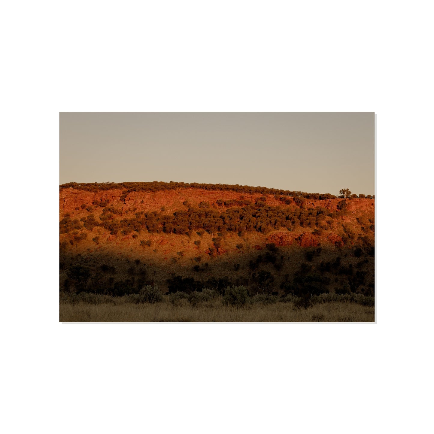 Shadowline - Alice Springs