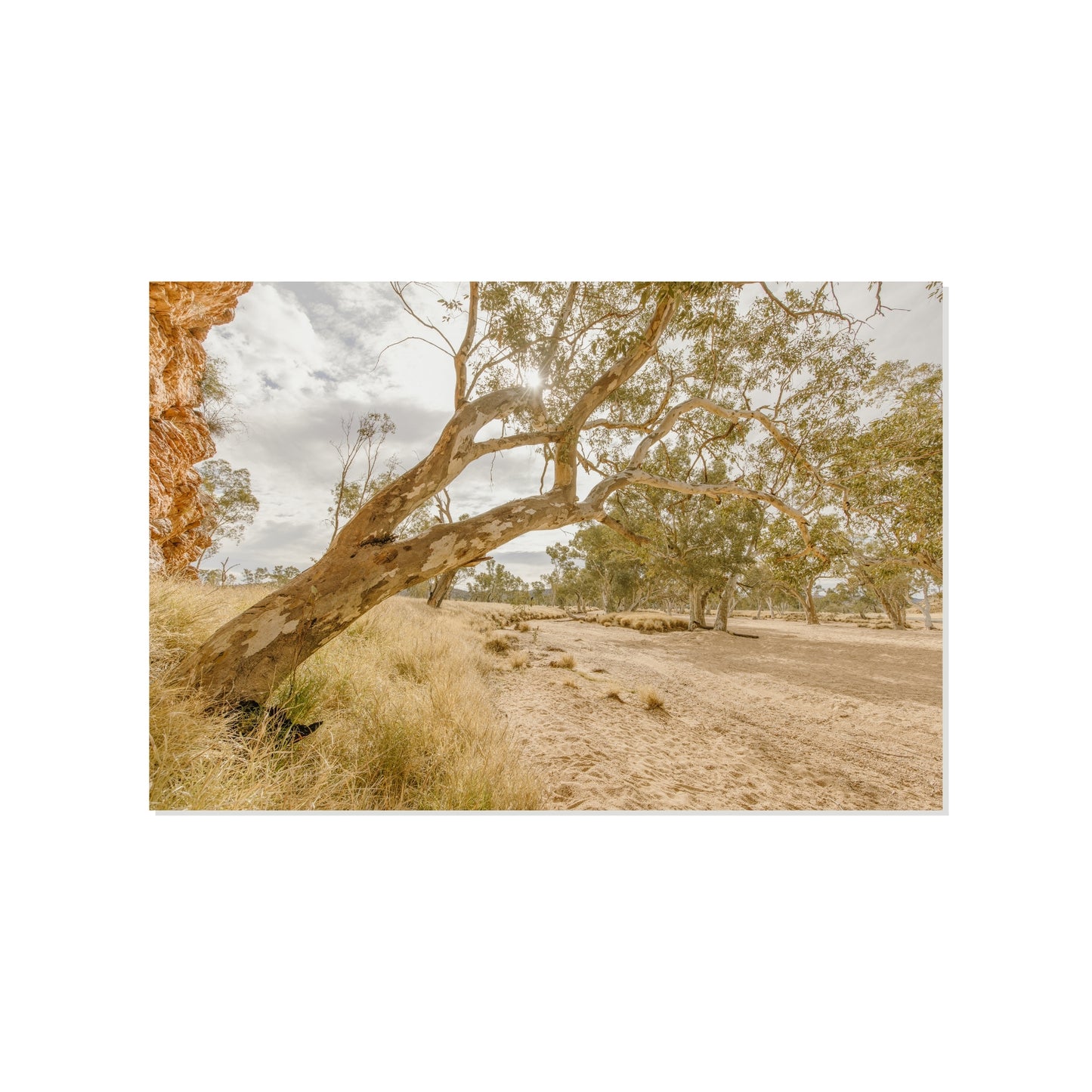 Desert Line - Honeymoon Gap
