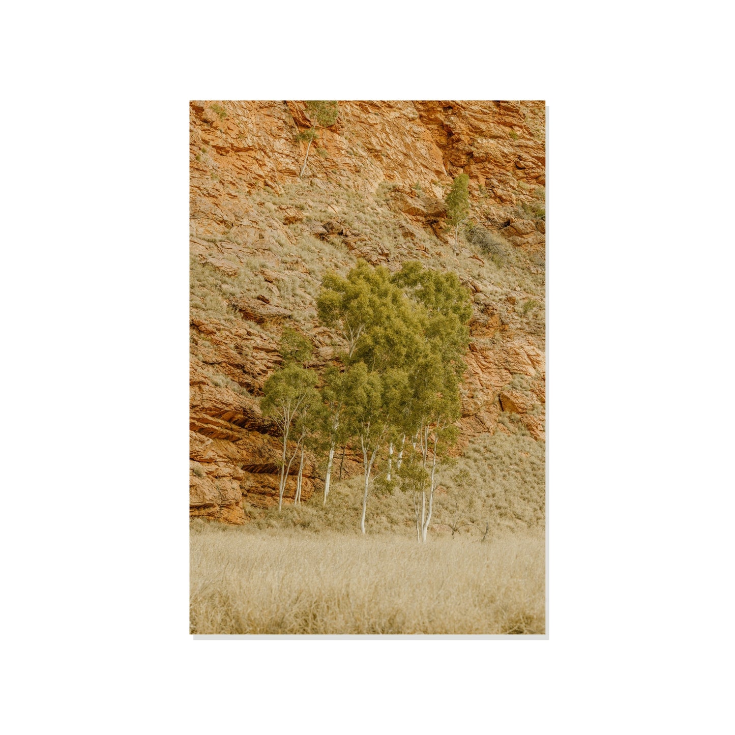 The Dry River's Breath - Honeymoon Gap
