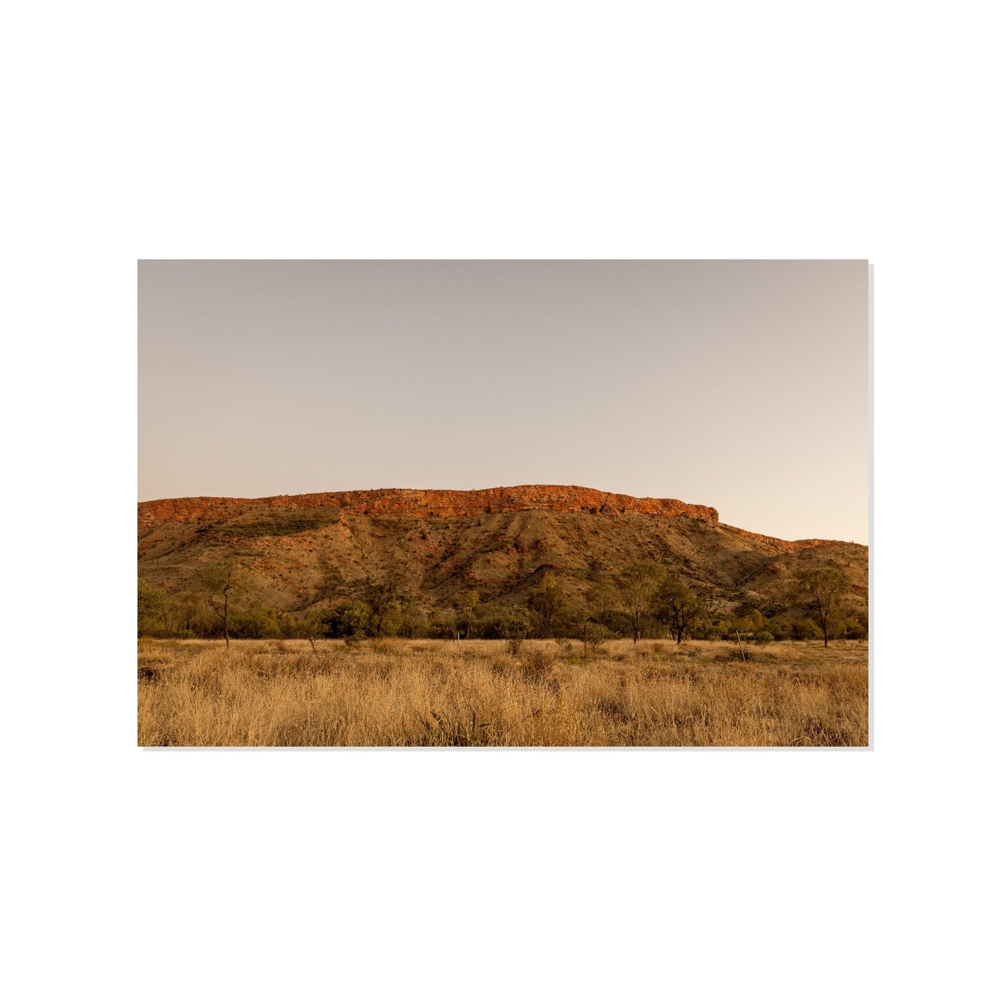 The Watching Ridge - Alice Springs