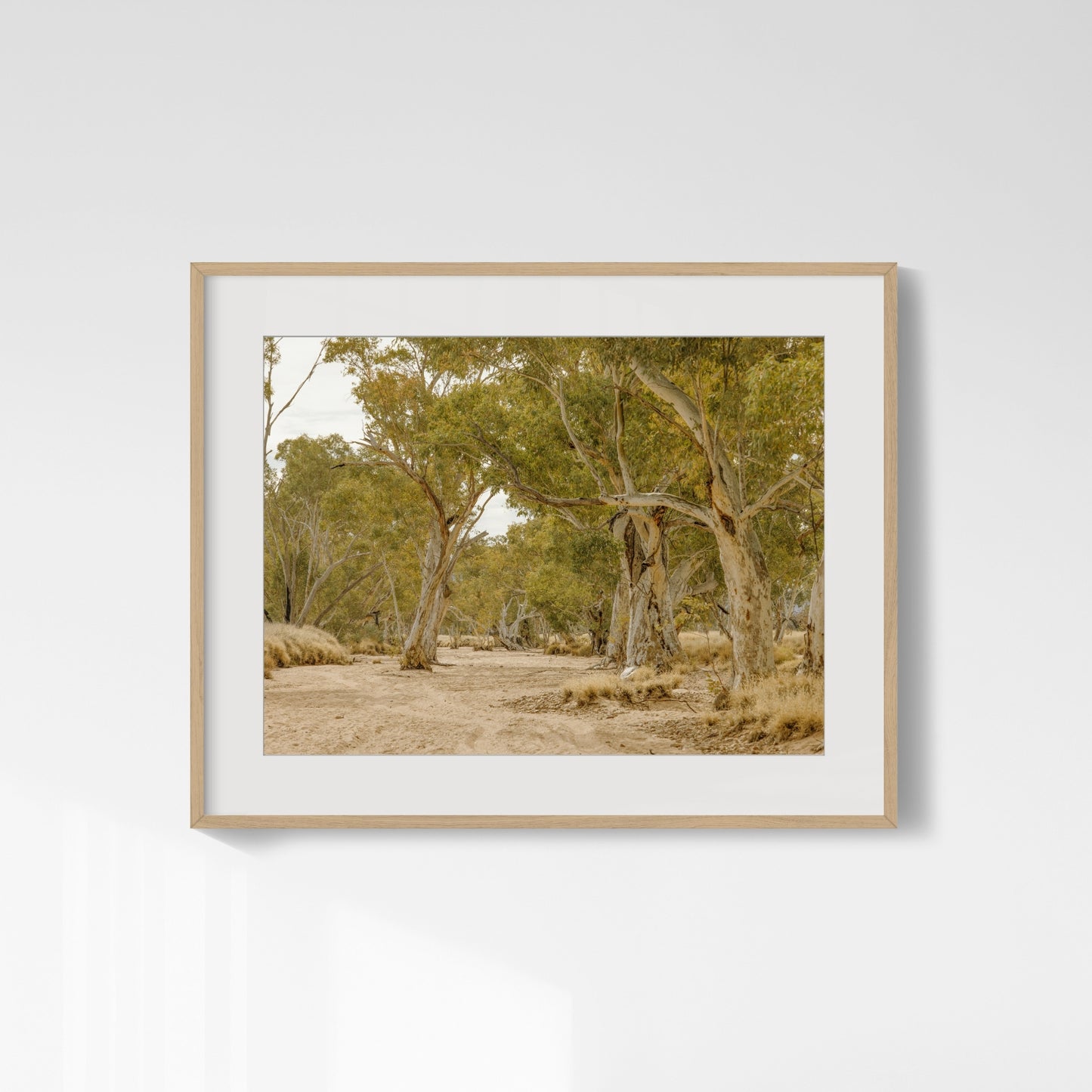 Ghost Gum Cathedral - Honeymoon Gap