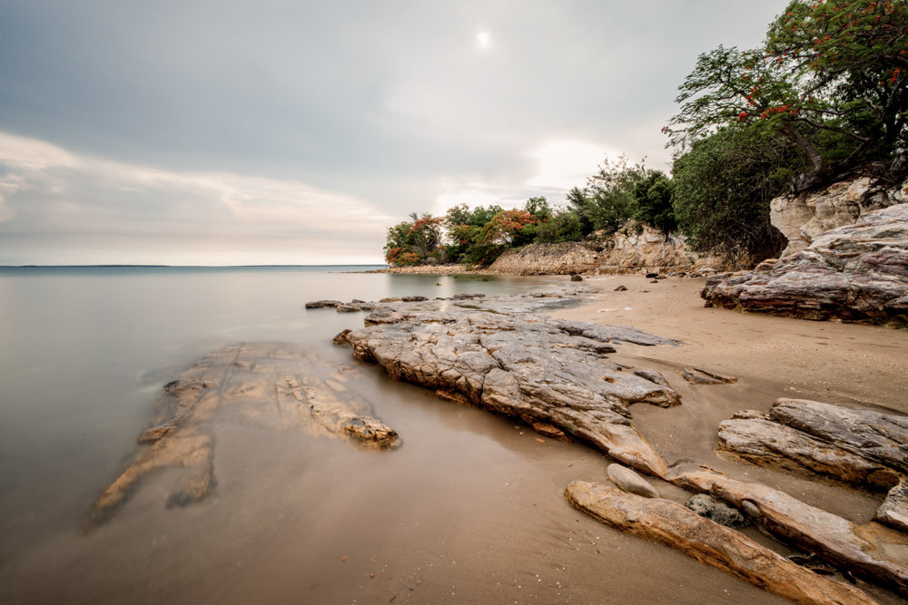 Wet Season Peace - East Point Reserve