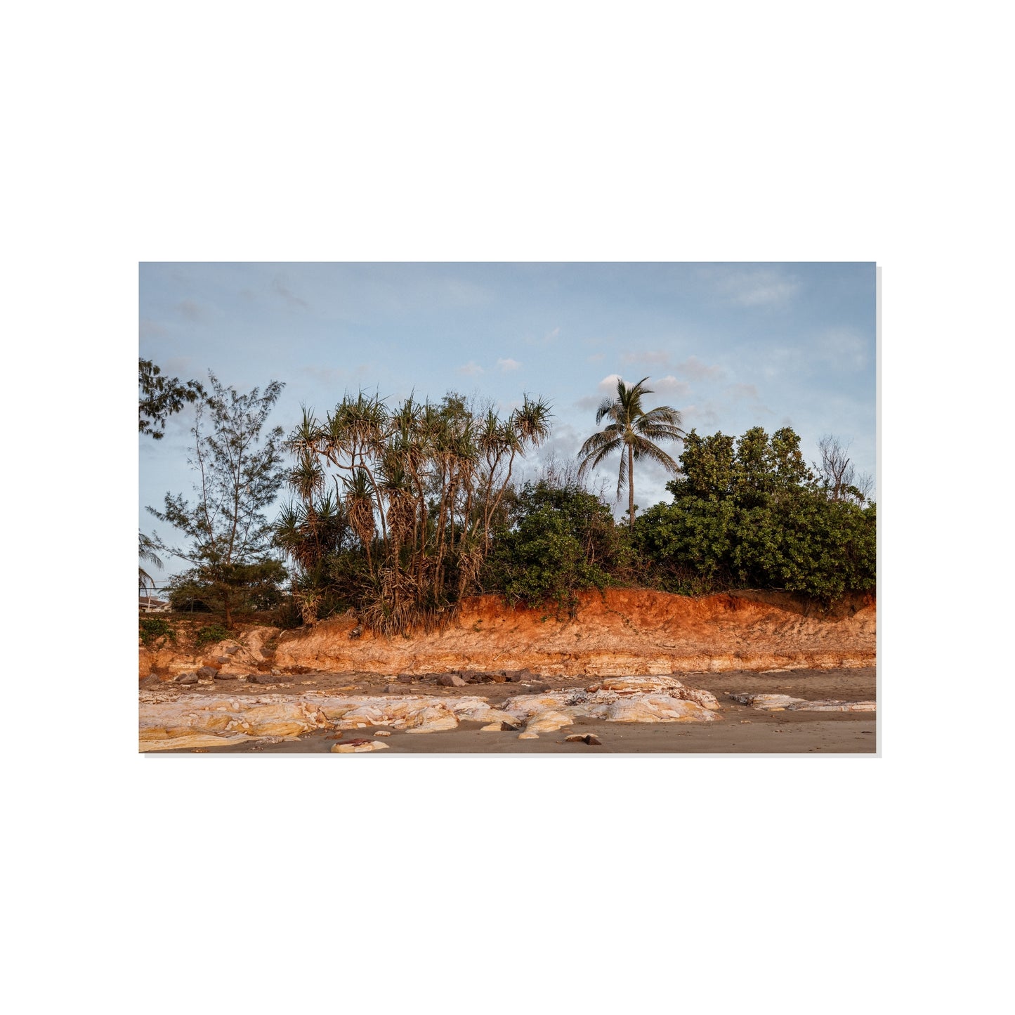 Tropical Fringe - Nightcliff Beach