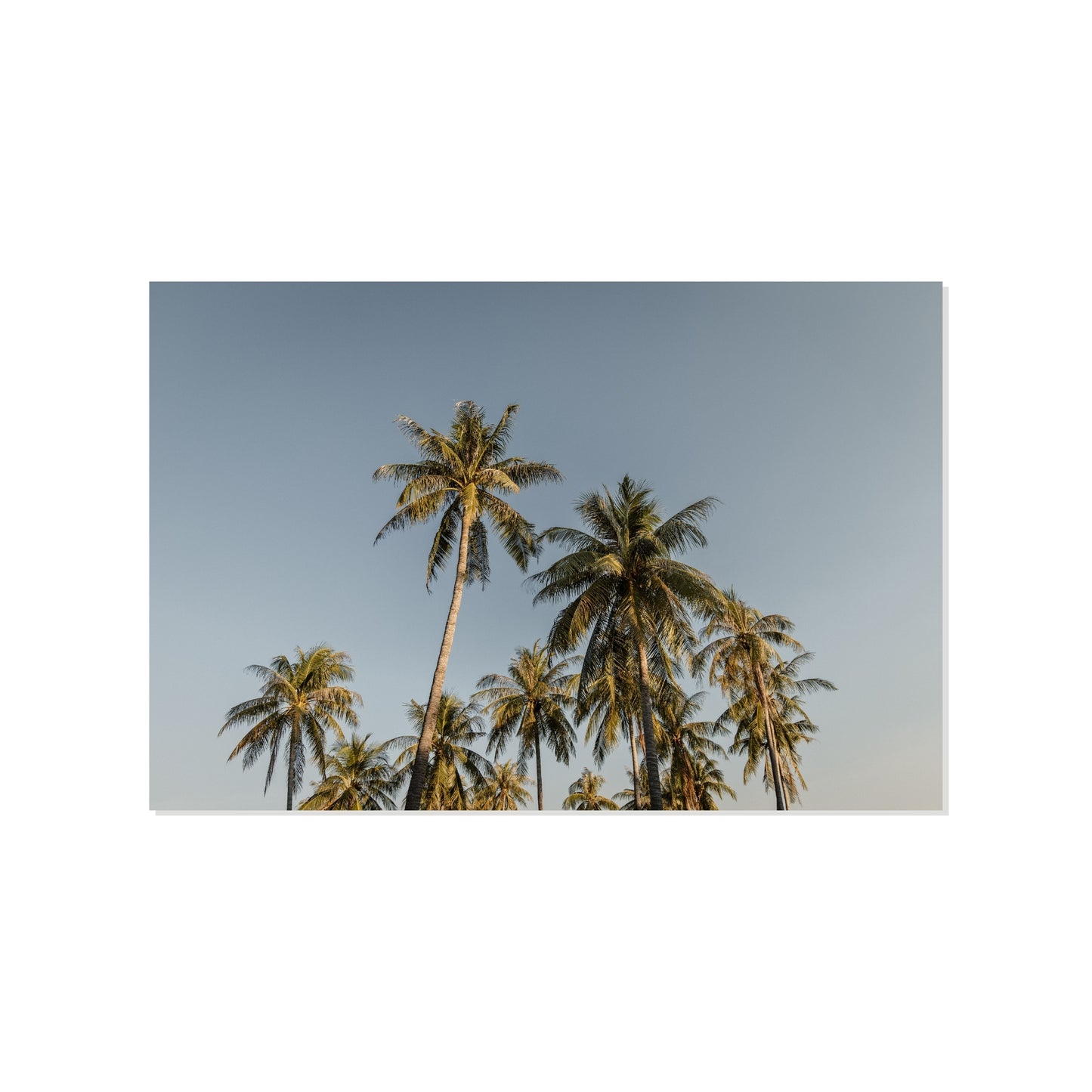 Tropical Calm - Darwin