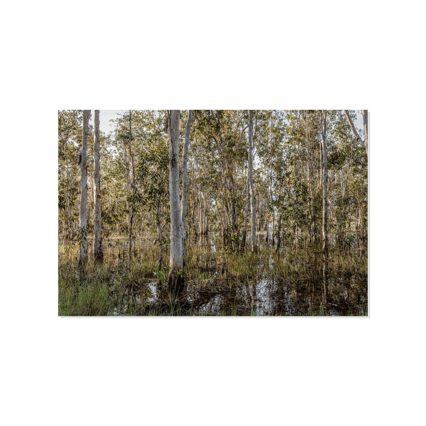 Vertical Drift - Howard Springs