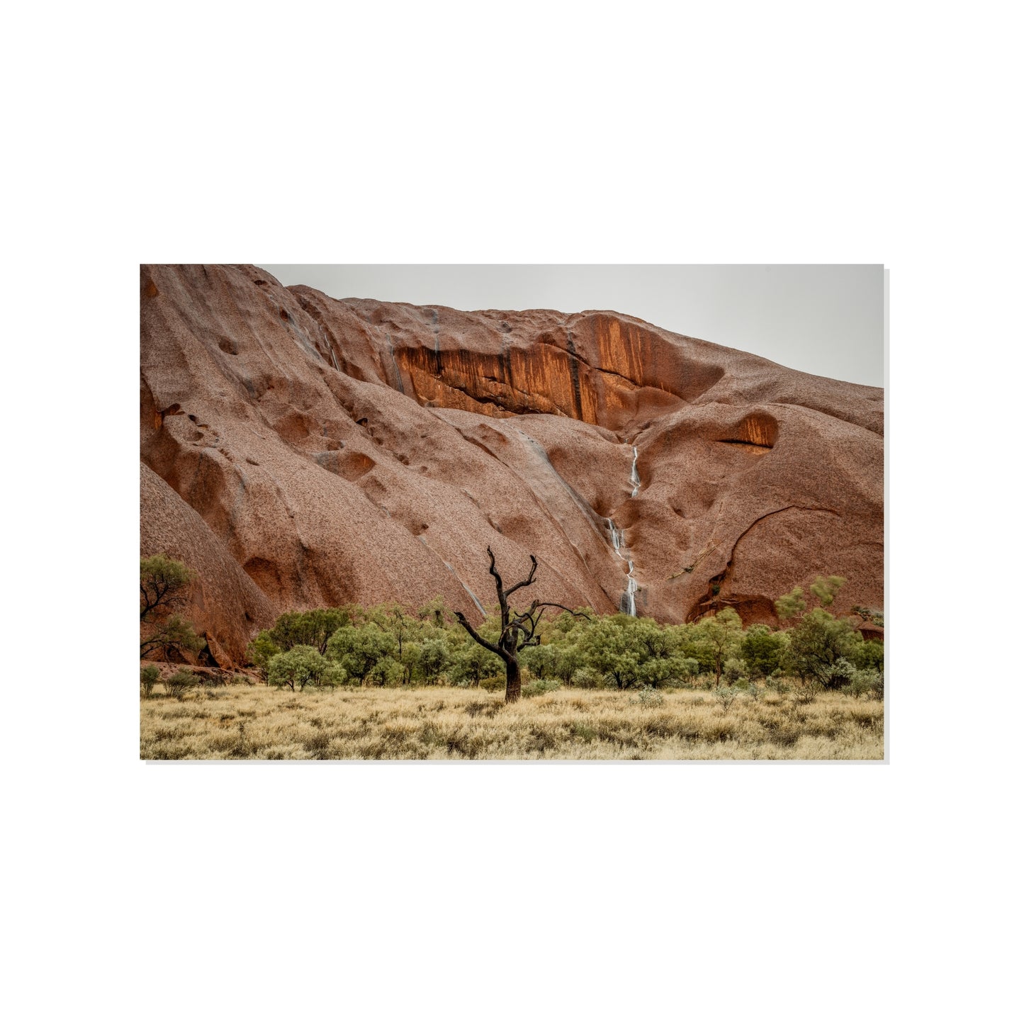 Sentinel of Silence - Uluru