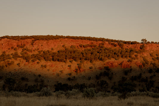 Shadowline - Alice Springs