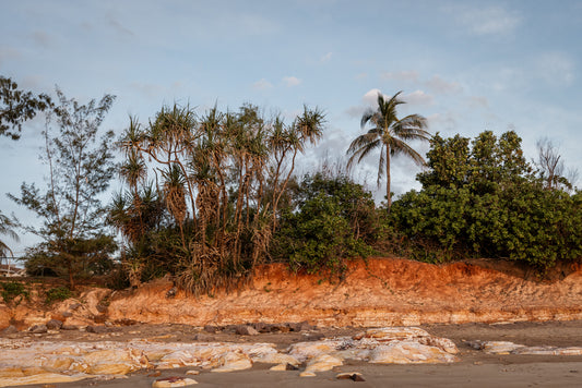 Tropical Fringe - Nightcliff Beach