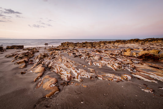 Painted Twilight - Nightcliff Beach
