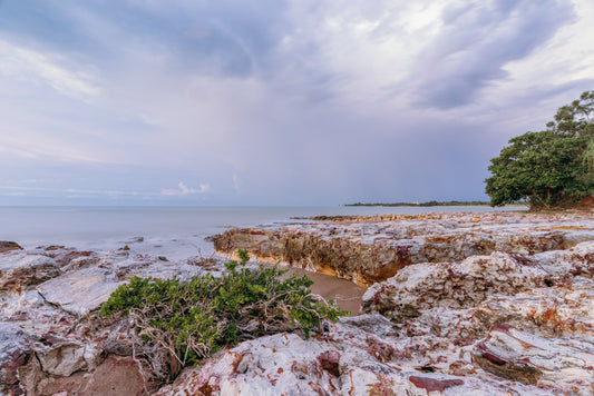 Rock Shelf - Nightcliff Beach