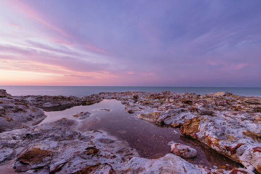 Tide Trace - East Point Reserve