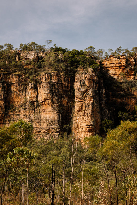 Afternoon Light at Kakadu - Kakadu