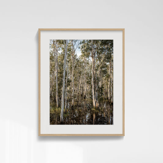 Density in Reflection - Howard Springs