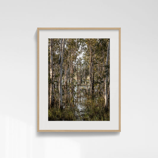 Retreating Structure - Howard Springs