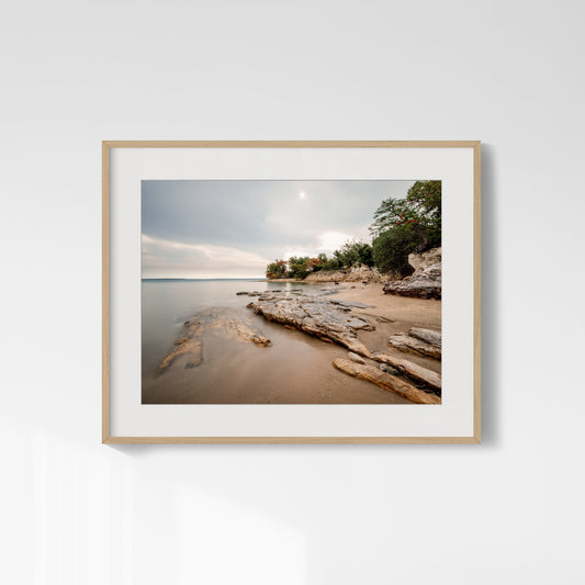 Wet Season Peace - East Point Reserve