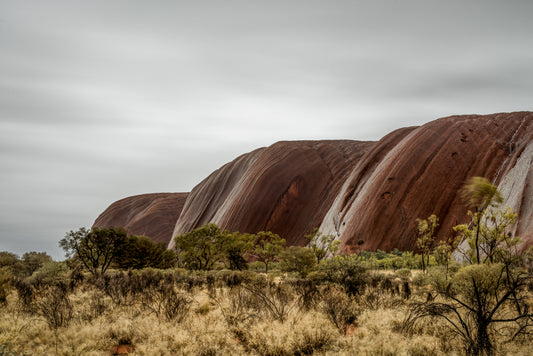 Rain Veins - Uluru