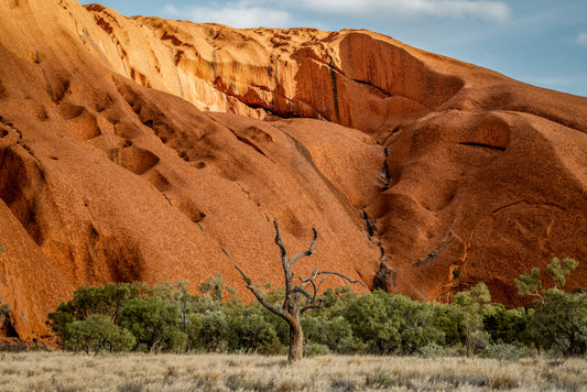 Veins of Light - Uluru