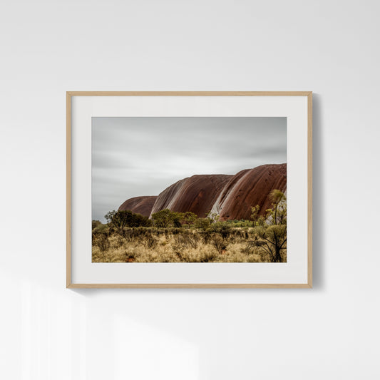 Rain Veins - Uluru