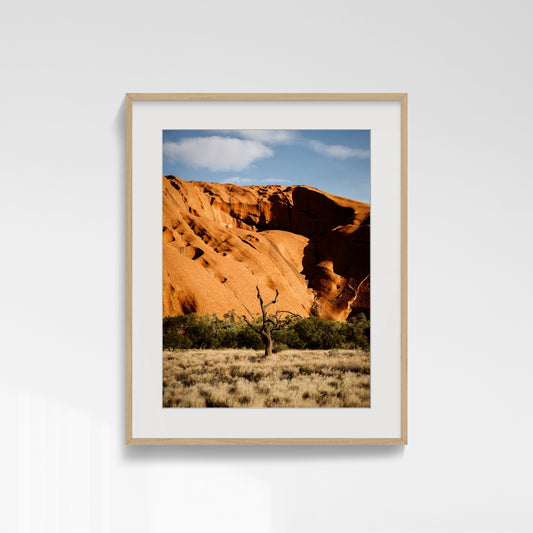 Rooted in Time - Uluru