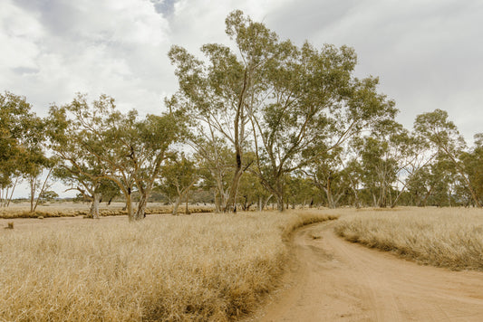 Spinifex Passage - Honeymoon Gap