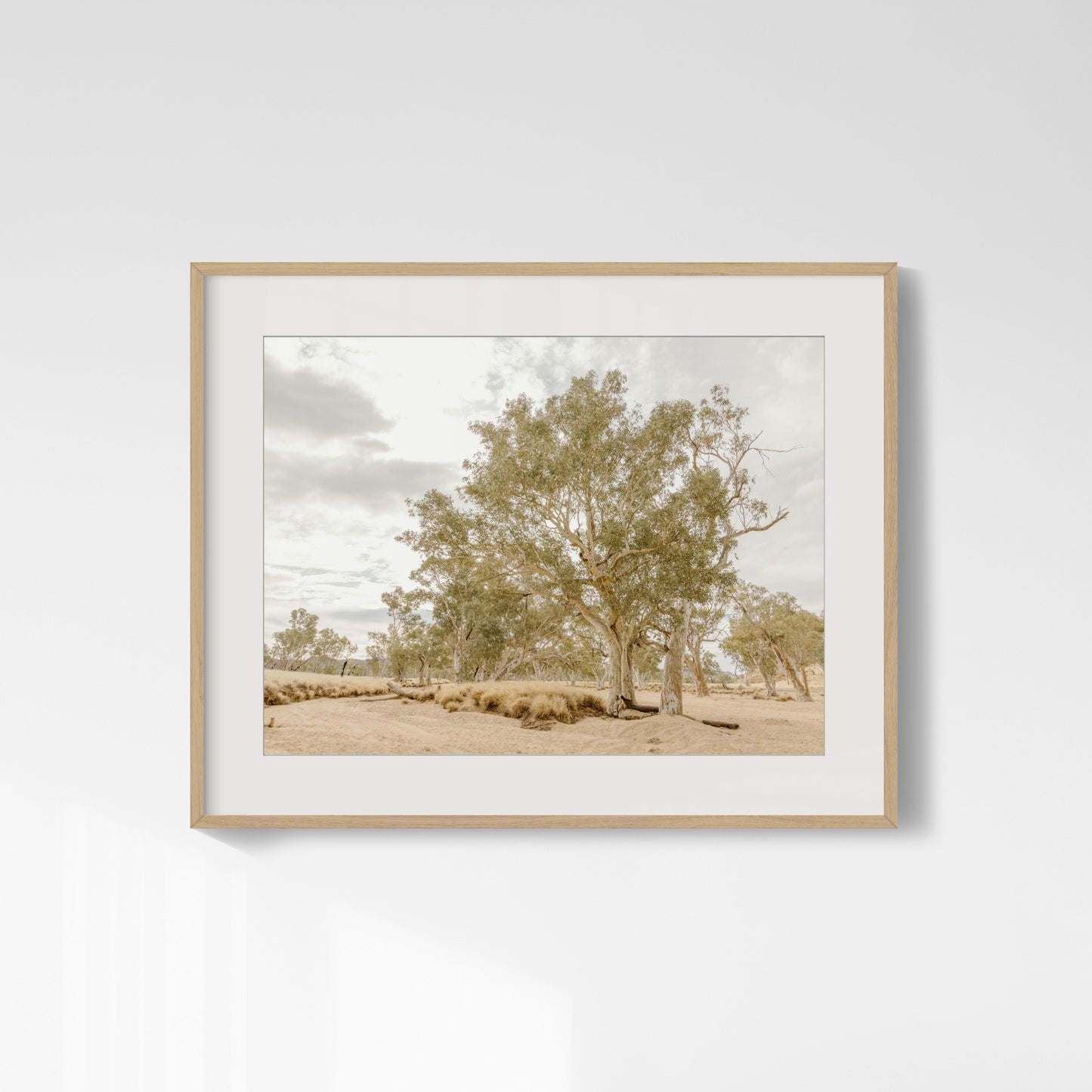 Eucalyptus Chorus - Honeymoon Gap