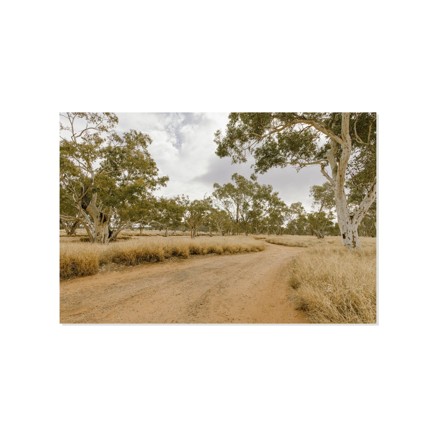 Echo Trail - Honeymoon Gap