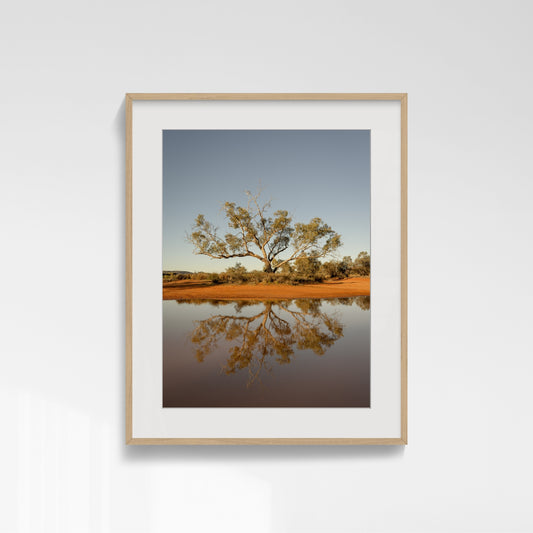 Root and Mirage - Ilparpa Claypans