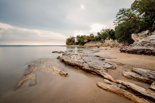 Wet Season Peace - East Point Reserve