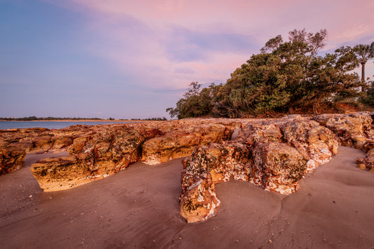 Sunset Sculptures - Nightcliff Beach