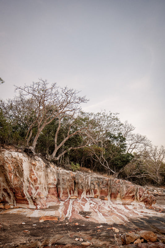 Ochre Cliffside - East Point Reserve