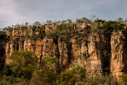 Kakadu Glow - Kakadu
