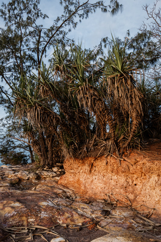Edge of the Tropics - Nightcliff Beach