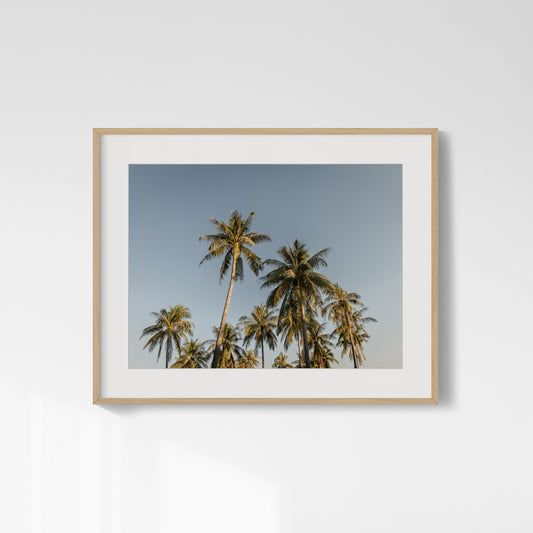 Tropical Calm - Darwin