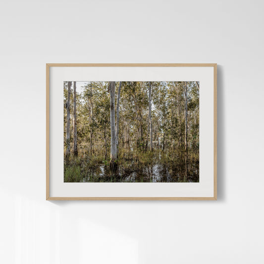 Vertical Drift - Howard Springs