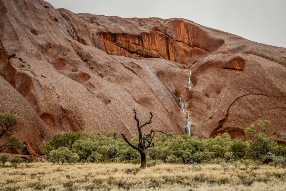 Sentinel of Silence - Uluru