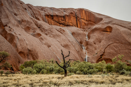 Sentinel of Silence - Uluru